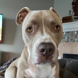 Meet your Posher, Macara